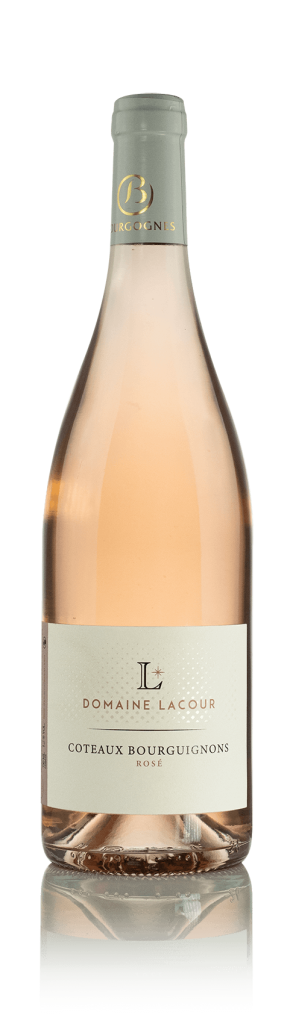 Coteaux Bourguignons rosé 2025