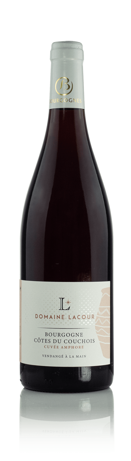 Bourgogne Côtes du Couchois « Cuvée Amphore » 2022