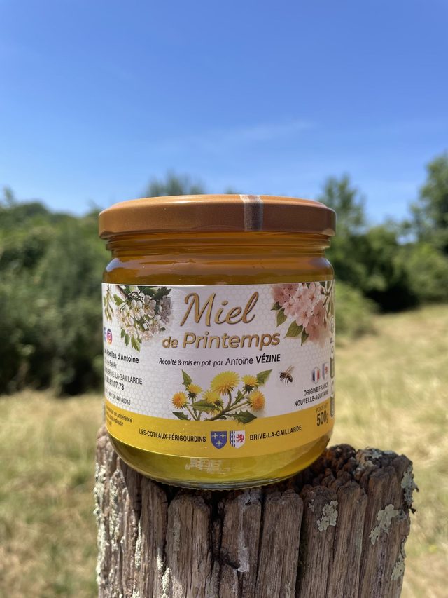Miel de fleurs de printemps - 500 g