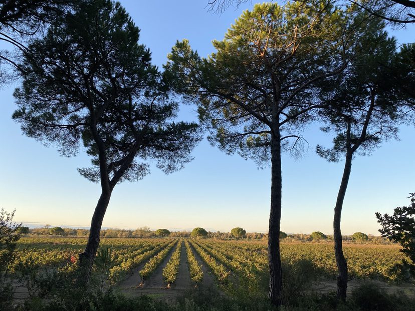 Domaine Terres de Sable