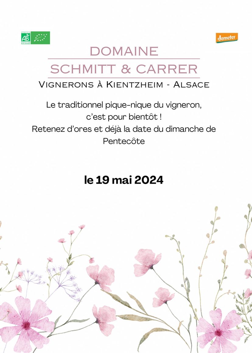 Pique-nique vigneron au domaine