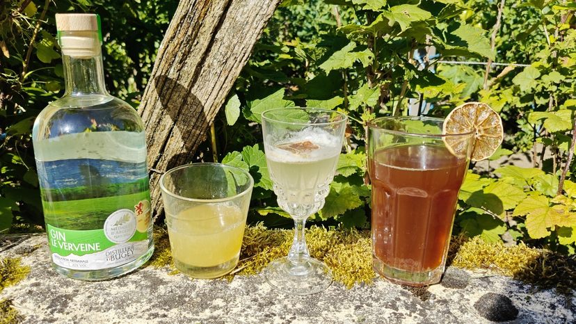 Le Gin Verveine et ses cocktails, en plein air