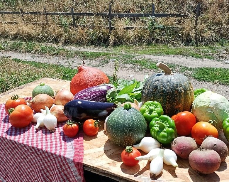 Légumes de saison du jardin