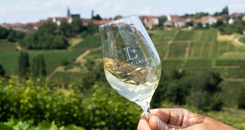 Un verre de blanc face aux coteaux de Saint-Sernin-du-Plain