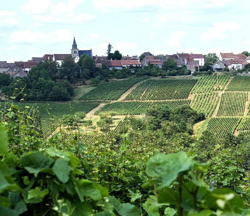 Le village de Saint-Sernin-du-Plain vu depuis les vignes