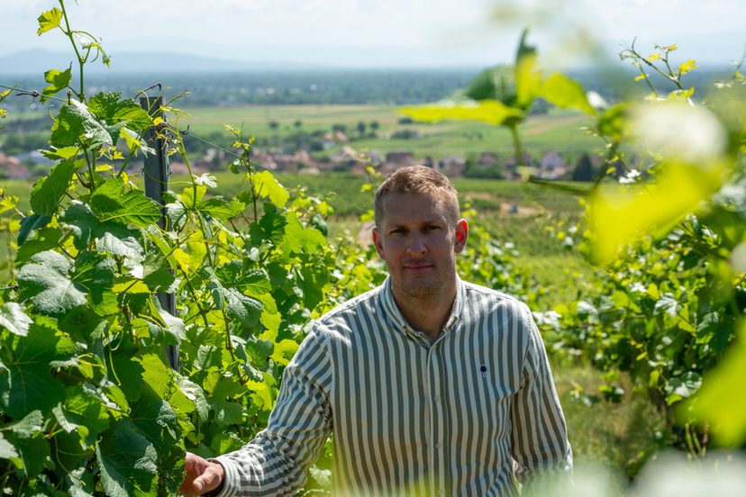 Domaine Aimé Stentz