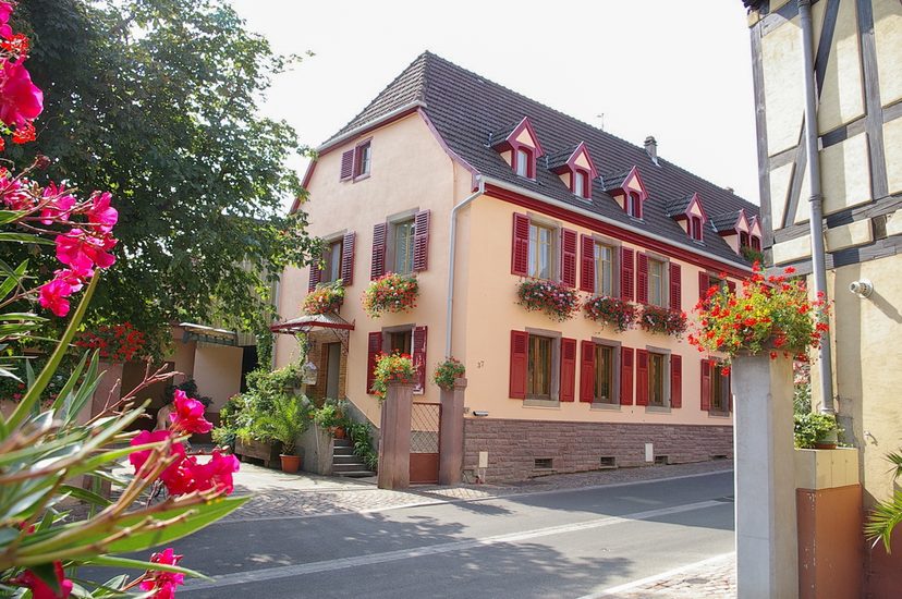 La maison du domaine à Wettolsheim