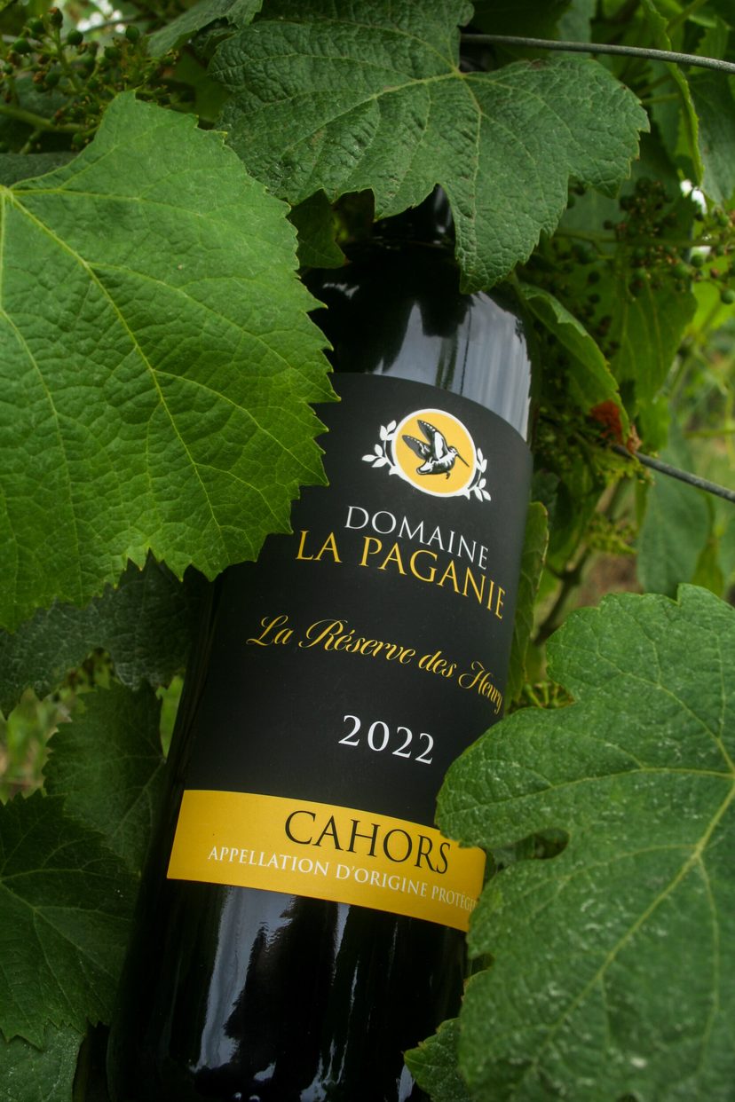 Clément au travail dans les vignes