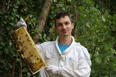 L’apiculteur au rucher, un cadre d’abeilles en main