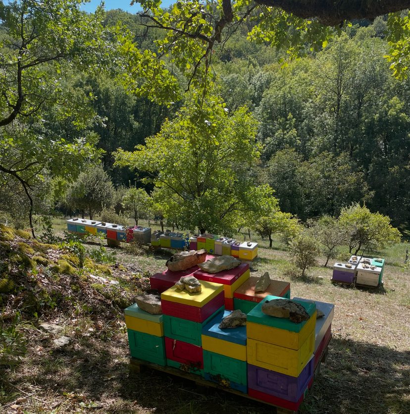 Un rucher d'Antoine en Dordogne
