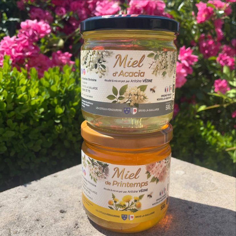 Les premiers pots de miel 2026, acacia et fleurs de printemps