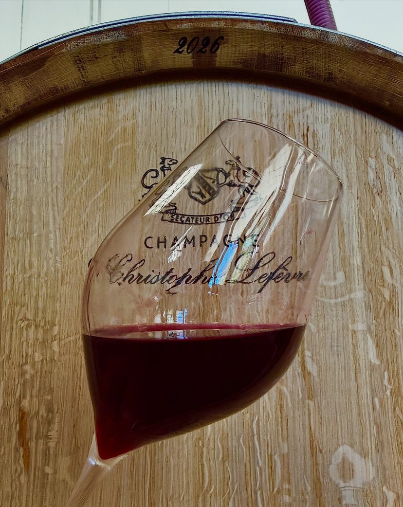 Décuvage et entonnage du pinot noir en fût